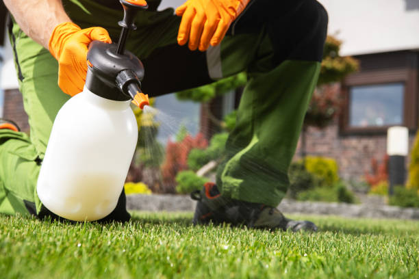 Best Mosquito Control Services  in Kalaheo, HI