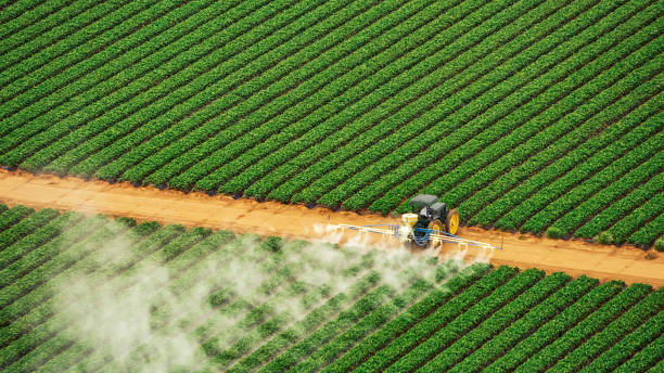 Best Pest Control Treatment  in Kalaheo, HI
